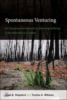 Spontaneous Venturing: An Entrepreneurial Approach to Alleviating Suffering in the Aftermath of a Disaster