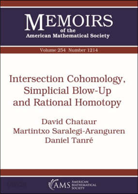 Intersection Cohomology, Simplicial Blow-Up and Rational Homotopy