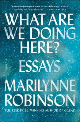 What Are We Doing Here?: Essays