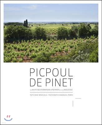 Picpoul de Pinet: The White Mediterranean Vineyards of the Languedoc