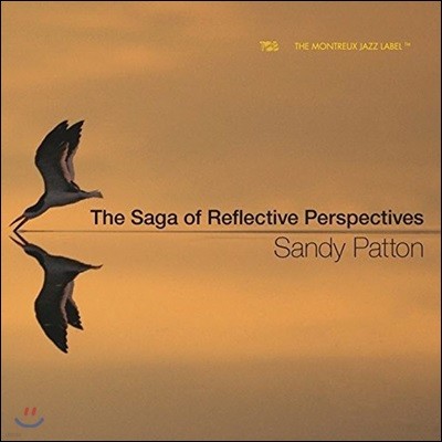 Sandy Patton ( ư) - The Saga Of Reflective Perspective