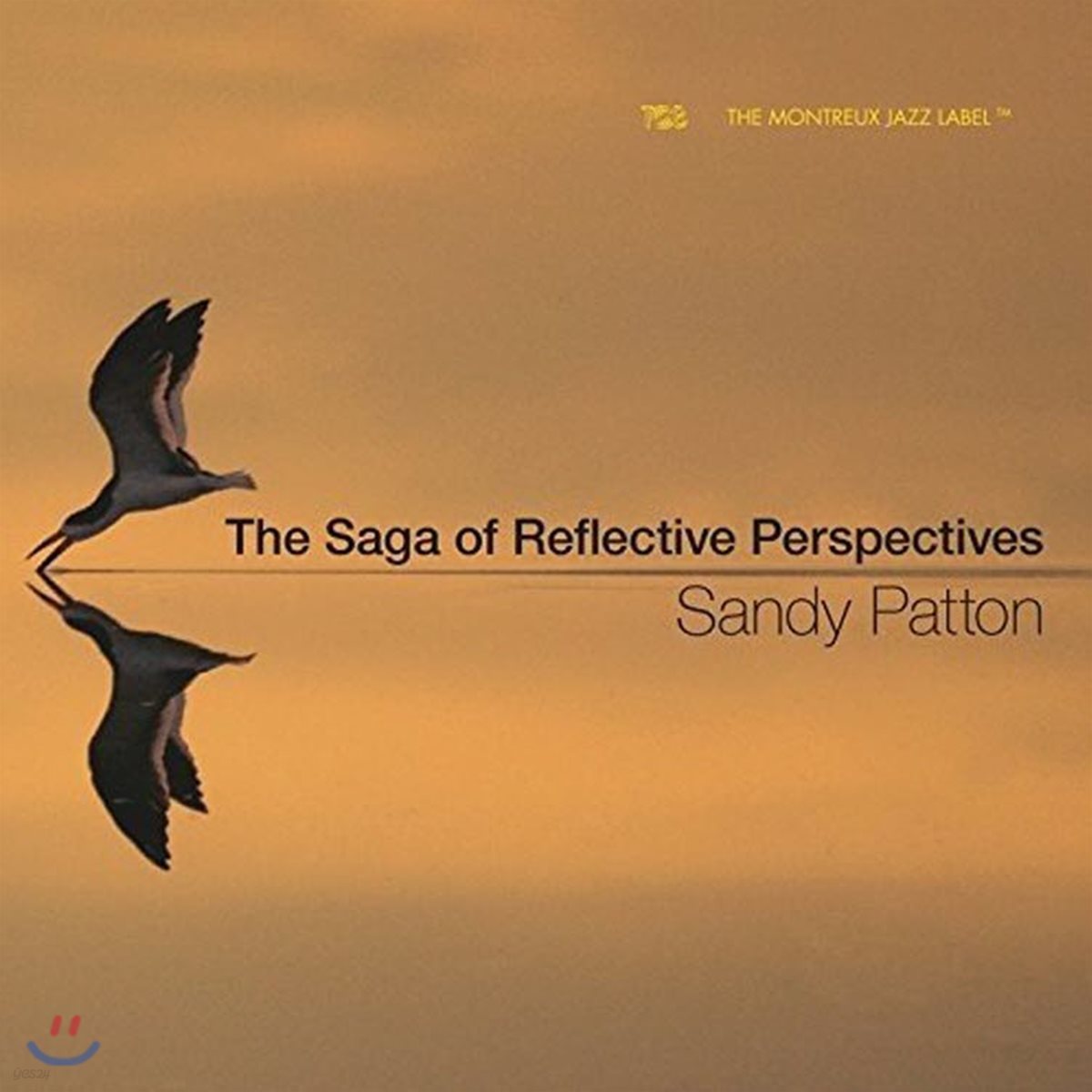 Sandy Patton (샌디 패튼) - The Saga Of Reflective Perspective