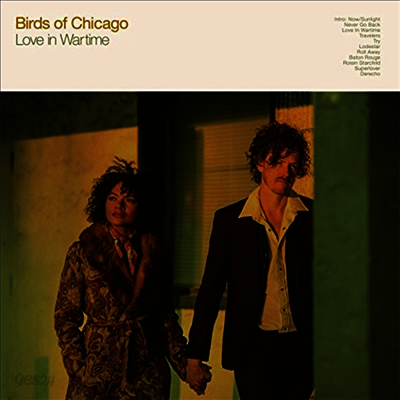 Birds Of Chicago - Love In Wartime (LP+Digital Download Card)