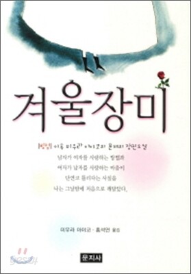 겨울장미