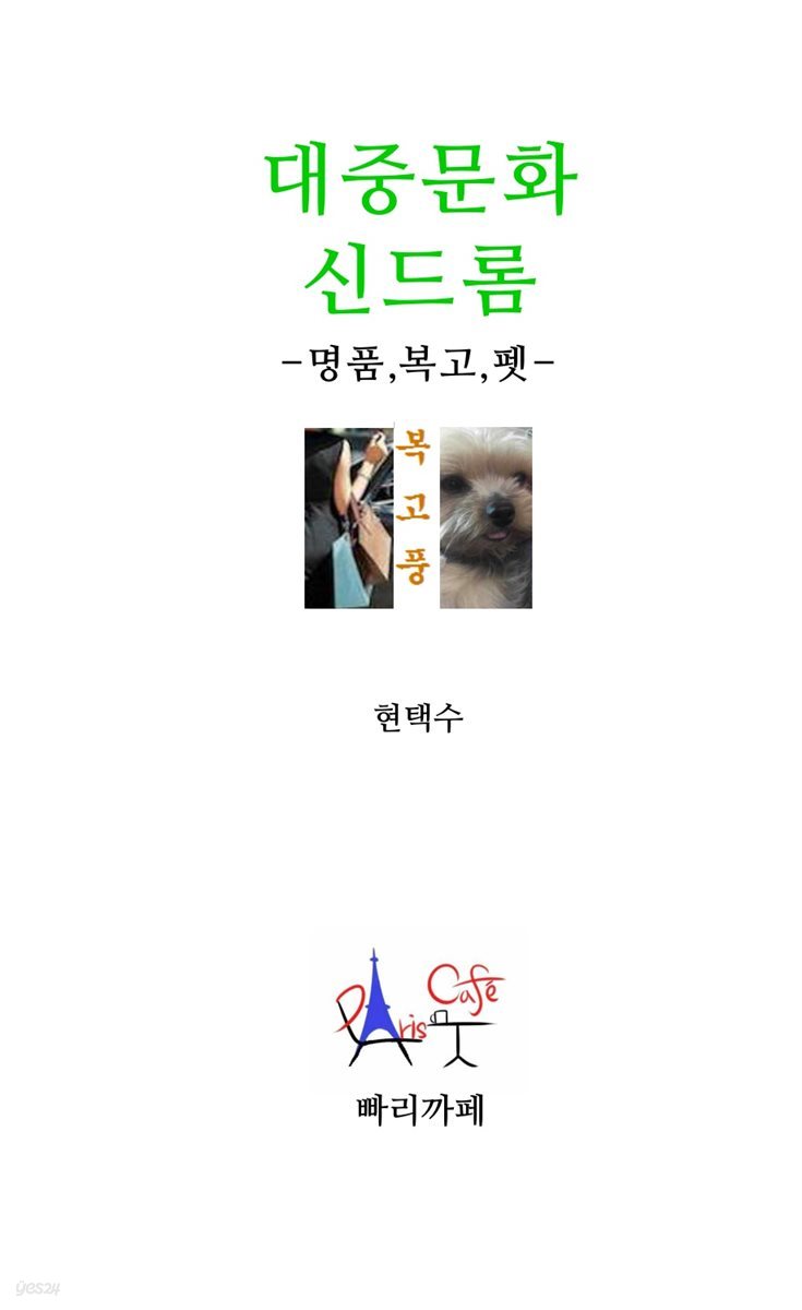 대중문화 신드롬 