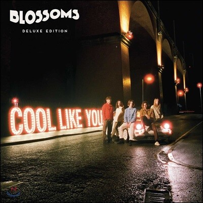 Blossoms — Cool Like You 블로섬즈 2집 앨범 커버