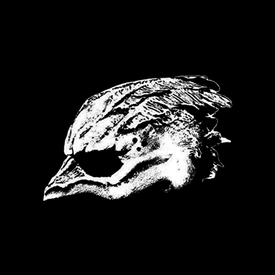 Legend Of The Seagullmen — Legend Of The Seagullmen 앨범 커버