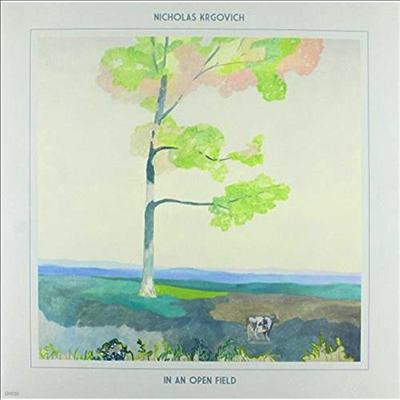 Nicholas Krgovich — In An Open Field 앨범 커버