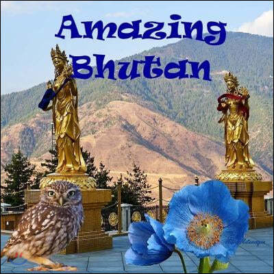 Amazing Bhutan