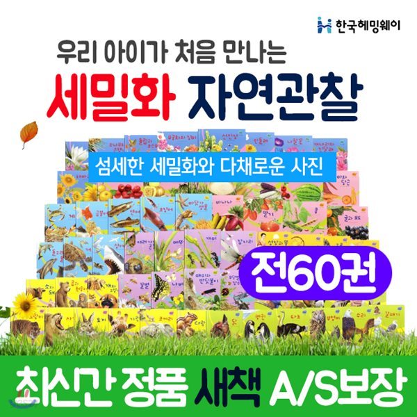 헤밍웨이/ 세밀화 자연관찰 (전60권) 자연관찰동화 세밀화자연관찰