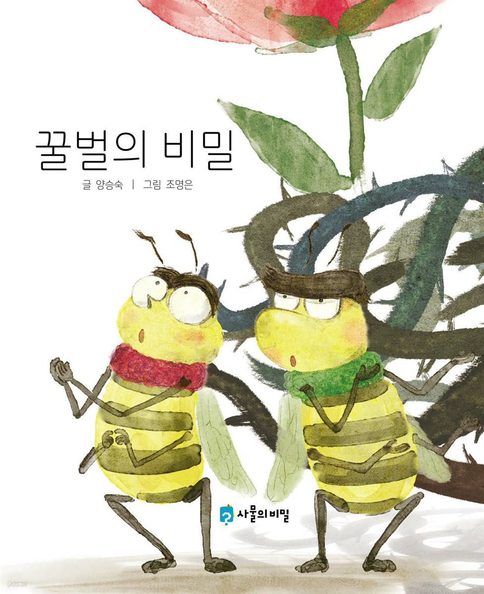 꿀벌의 비밀