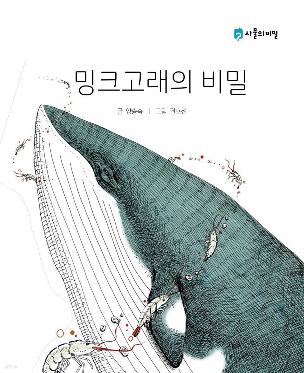 밍크고래의 비밀