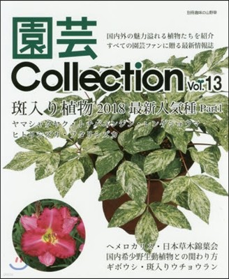 Collection Vol.13