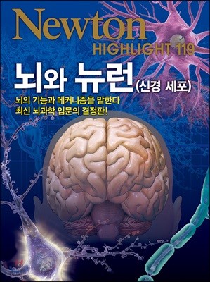 NEWTON HIGHLIGHT 뉴턴 하이라이트 119 뇌와 뉴런 (신경세포)