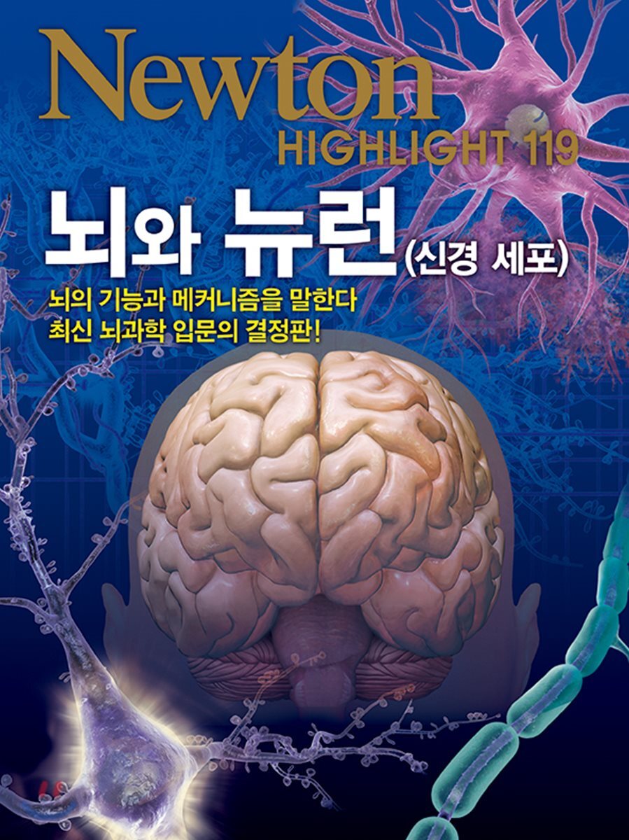 NEWTON HIGHLIGHT 뉴턴 하이라이트 119 뇌와 뉴런 (신경세포)