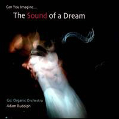 Adam Rudolph - Go: Organic Orchestra - Can You Imagine...The Sound Of A Dream (CD)