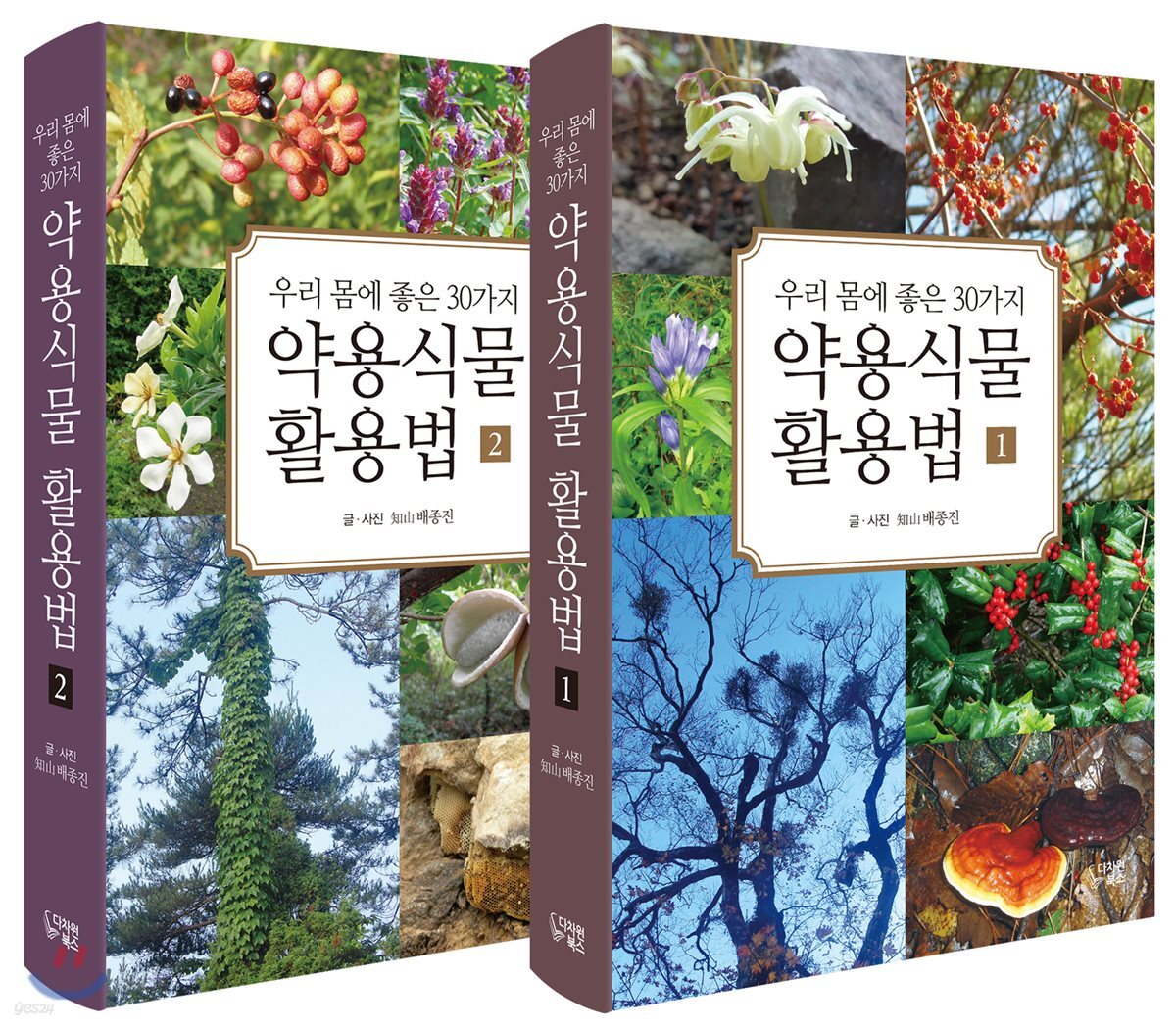 약용식물 활용법