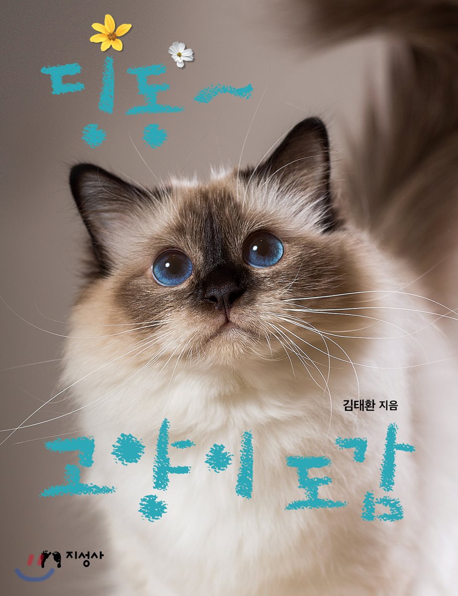 딩동~ 고양이 도감
