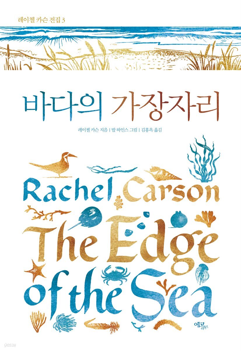 바다의 가장자리