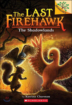 The Shadowlands: A Branches Book (the Last Firehawk #5): Volume 5