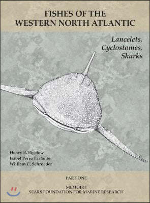 Lancelets, Cyclostomes, Sharks: Part 1