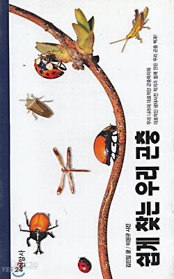 쉽게 찾는 우리 곤충