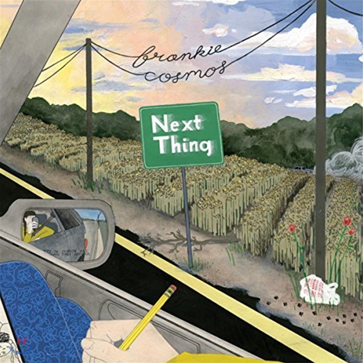 Frankie Cosmos (프랭키 코스모스) - Next Thing [LP]