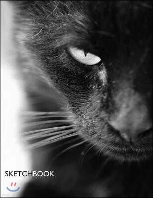 Sketchbook: Black cat cover (8.5 x 11) inches 110 pages, Blank Unlined Paper for Sketching, Drawing, Whiting, Journaling & Doodlin