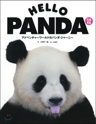 HELLO PANDA CAKE