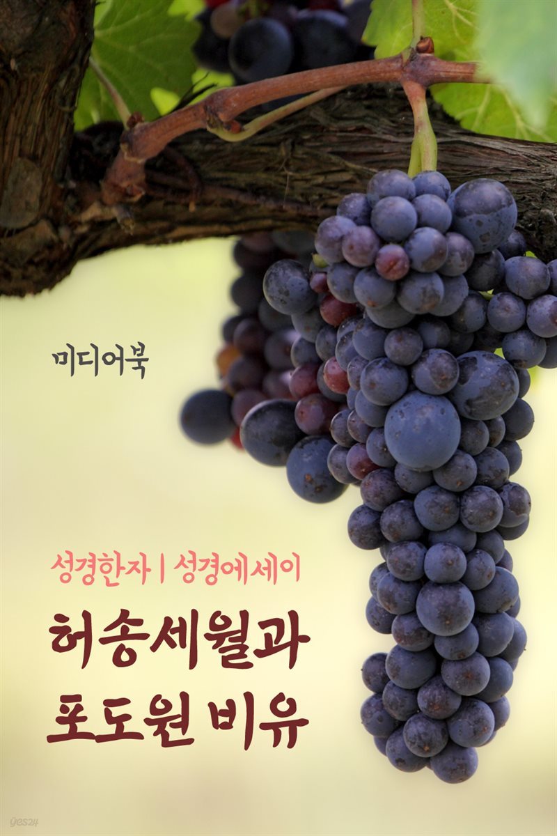 성경한자 허송세월과 포도원 비유 (성경 에세이)