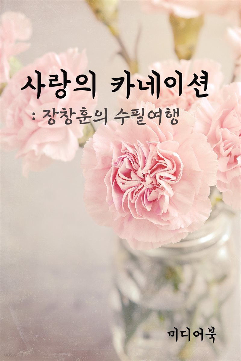 사랑의 카네이션 - 장창훈의 수필여행