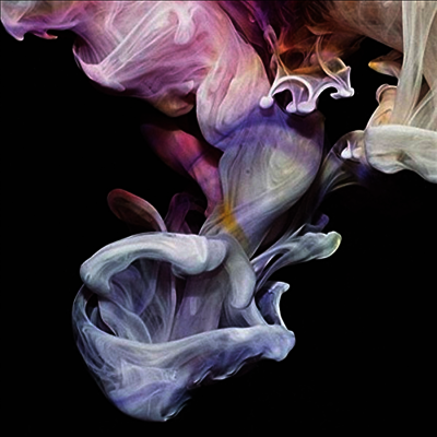 Simian Mobile Disco — Murmurations (Gatefold Cover) 앨범 커버
