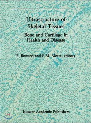 Ultrastructure of Skeletal Tissues: Bone and Cartilage in Health and Disease