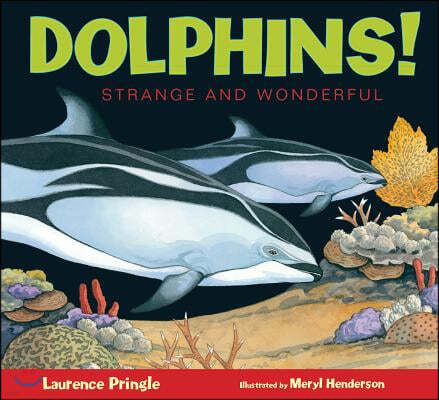 Dolphins!