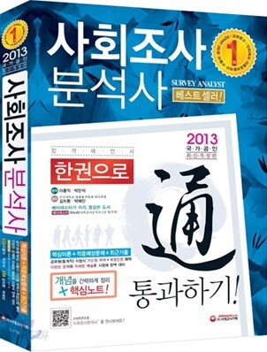 2013 사회조사분석사