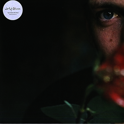 Wolf Alice — Don't Delete The Kisses 앨범 커버