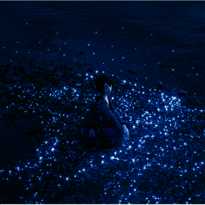 [Sacra Music]Aoi Eir (아오이 에일) - 流星/約束 (CD)