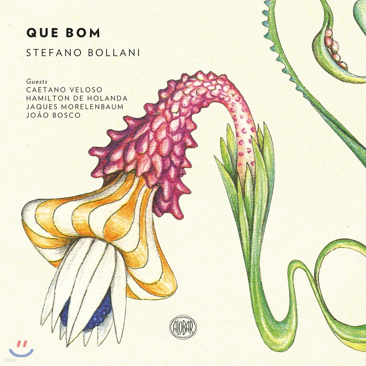 Stefano Bollani (스테파노 볼라니) - Que Bom (좋아요)