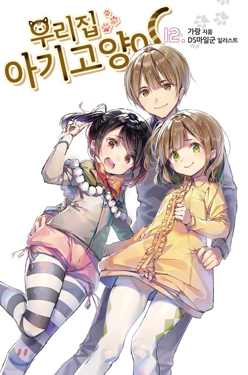 우리집 아기고양이 12