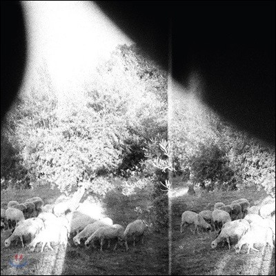 Godspeed You! Black Emperor - Asunder Sweet & Other Distress  ǵ   ䷯  5 [LP]
