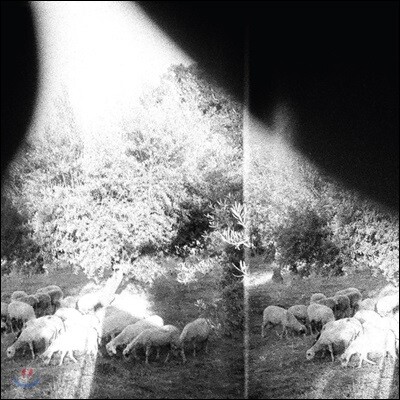 Godspeed You! Black Emperor (갓 스피드 유 블랙 엠페러) — 5집 Asunder Sweet & Other Distress 앨범 커버