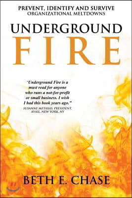 Underground Fire: Prevent, Identify and Survive Organizational Meltdowns