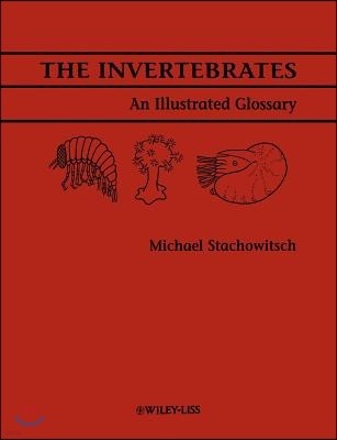 The Invertebrates: An Illustrated Glossary