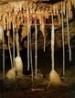 한국의 동굴 (한국의 자연시리즈 5) (1987 초판)