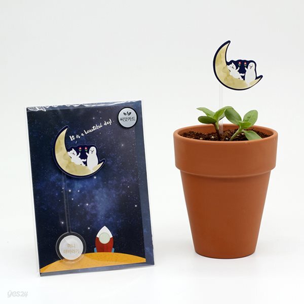 (꽃씨로 전하는 마음) 씨앗카드/It is a Beautiful Day_미니해바라기