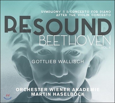 Martin Haselbock  亥 6 -  8, ǾƳ ְ D (Re-Sound Beethoven Volume 6)