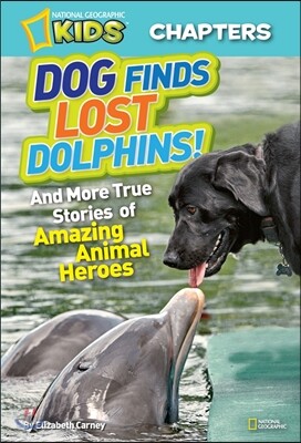 Dog Finds Lost Dolphins!: And More True Stories of Amazing Animal Heroes