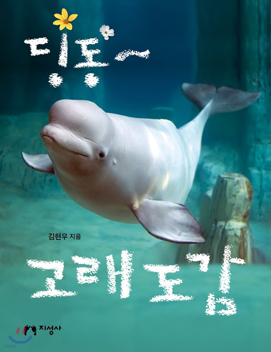 딩동~ 고래 도감