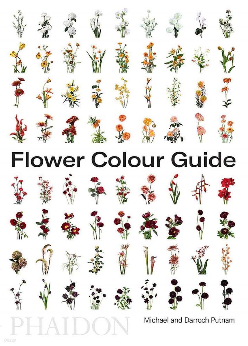 Flower Colour Guide | Darroch Putnam | Phaidon Press - 예스24