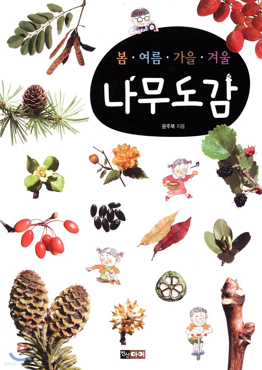 봄ㆍ여름ㆍ가을ㆍ겨울 나무도감